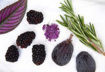 Purple leaf, black raspberries, purple powder, fig and thymes on a table